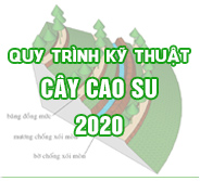 QT kỹ thuật